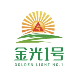 金光一號(hào)